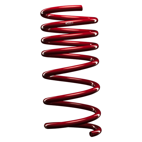 Lowering Springs