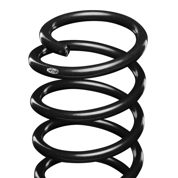 Lowering Springs