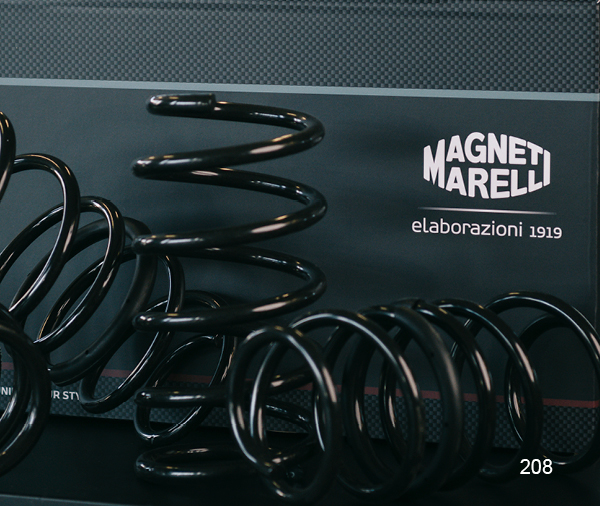 Lowering Springs